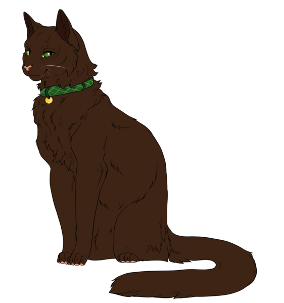 Datei:Mokka.png
