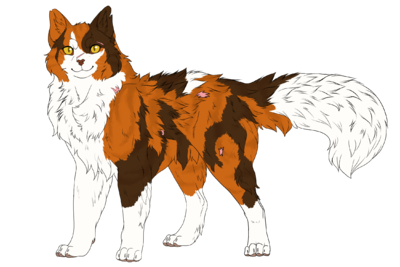 Das große Fan-Wiki! » Warrior Cats