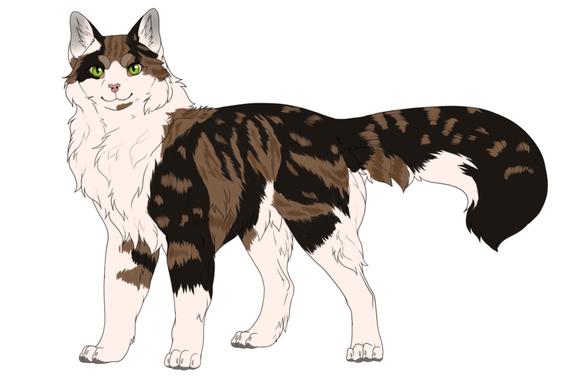 Springschweif (WoC) – WarriorCats Fan-Wiki