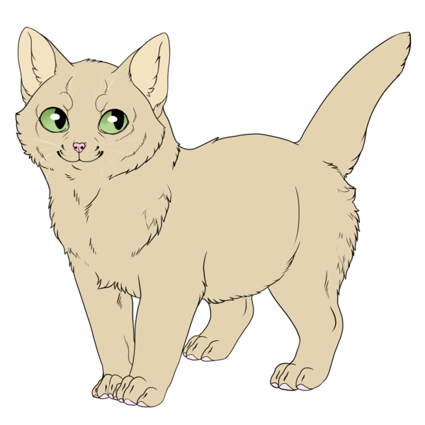 Hirschjunges – WarriorCats Fan-Wiki