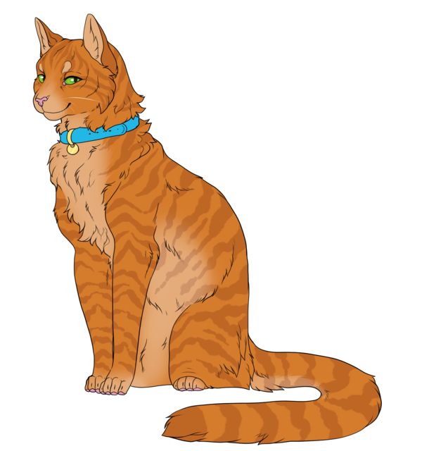 Jake WarriorCats FanWiki