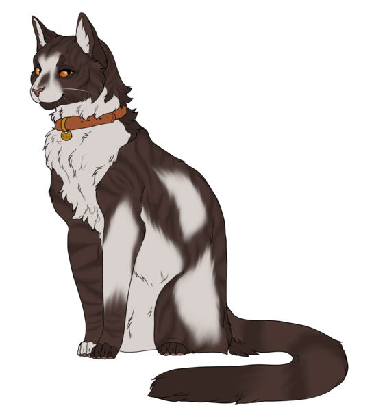 Datei:Bibi.png