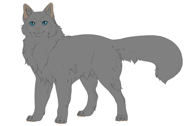 Datei:Distel S6.png