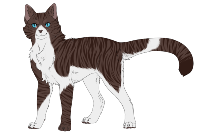 Das große Fan-Wiki! » Warrior Cats